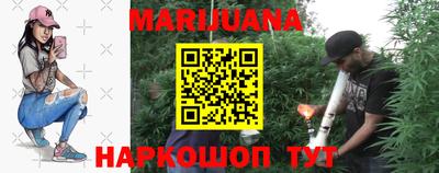 индика Обь