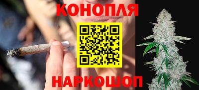 индика Обь